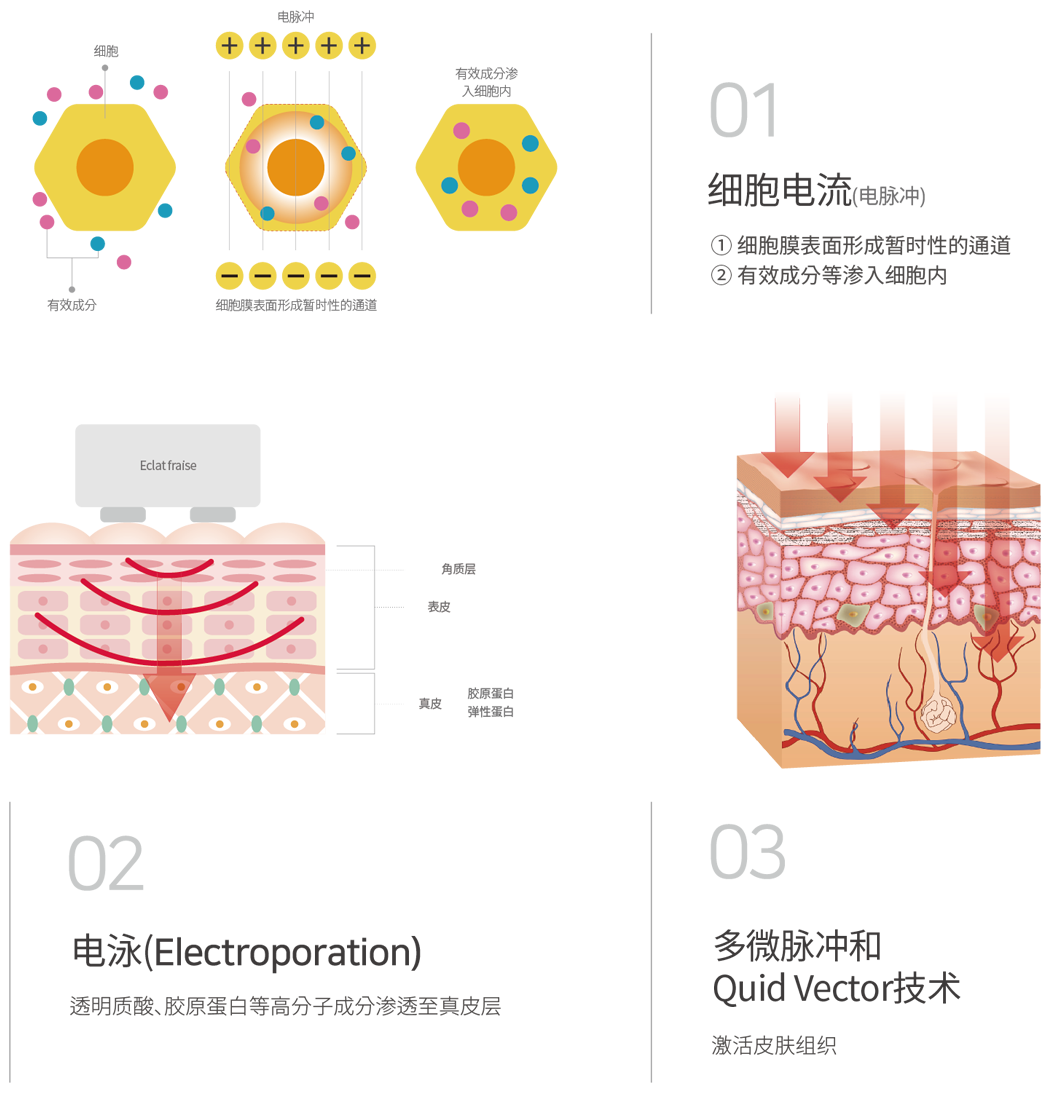 세포전류(전기적 펄스) : ① 세포막에 일시적인 틈이 생긴다.② 유효성분 등이 세포 속으로 침투,Electroporation:고분자성분 히야루론산, 콜라겐등을 진피까지 침투,멀티 마이크로 펄스와 퀴드벡터기술:피부조직 활성화 